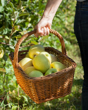 Manzana Golden