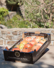 Tomate Rosa TAMI